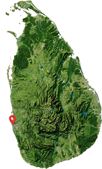 Digital Solutions for Sri Lanka